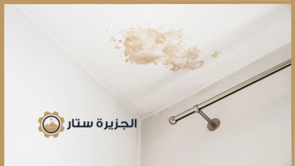 شركة كشف تسربات المياه