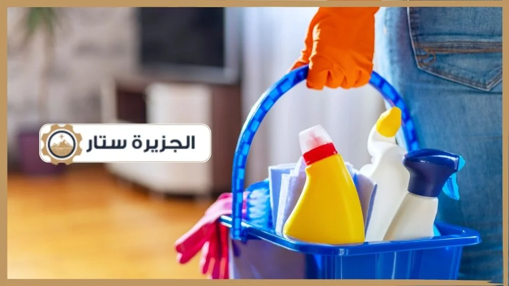 تنظيف المنازل بالساعة