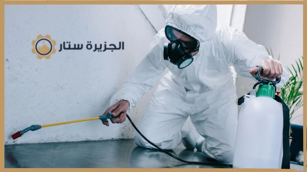 شركة مكافحة البق الرياض