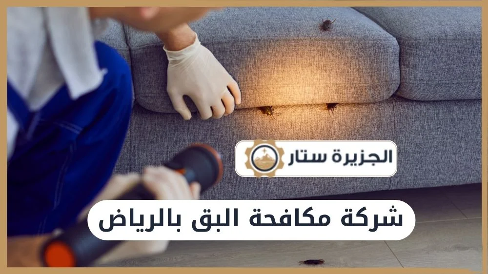 شركة مكافحة البق بالرياض