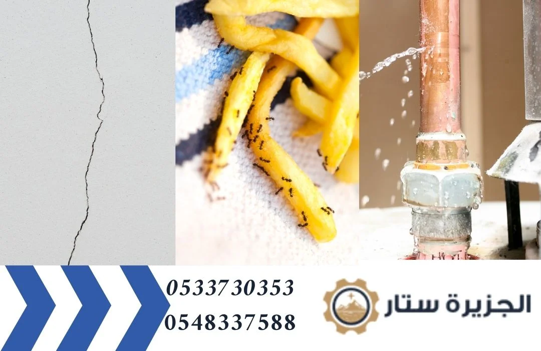 شركة مكافحة حشرات شمال الرياض