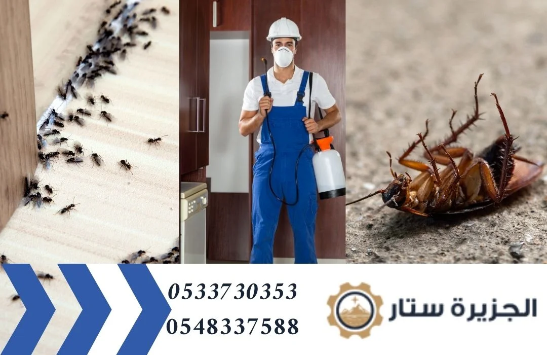 شركة مكافحة حشرات في الرياض